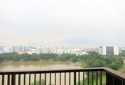 Lakeville (D22), Condominium #457223651